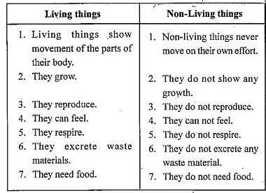 similarities between living and nonliving.